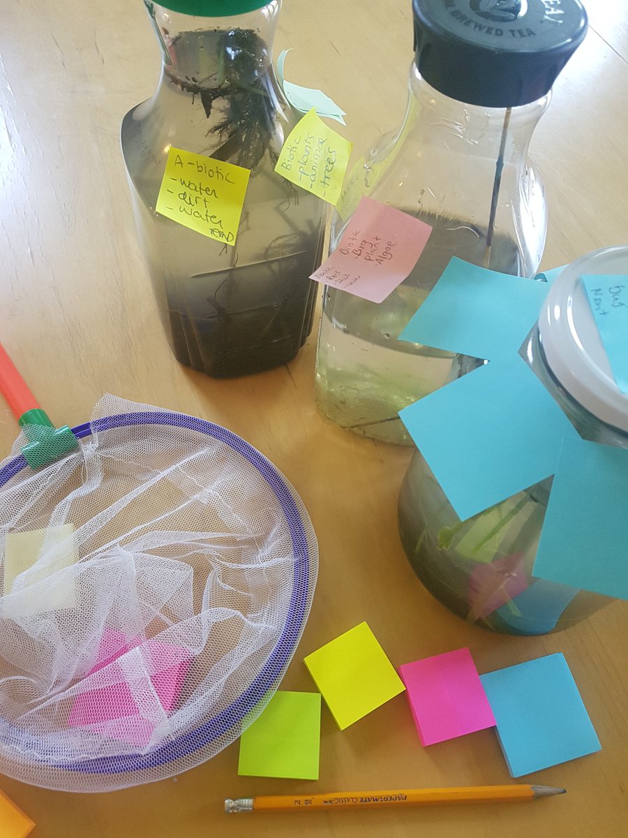 missaprocenko's tweet photo. Where does the water from the creek near our school @NSASkiCAN end up? Lead up to watershed health #inquiry! #bluemountainwatershed #getoutside https://t.co/0nCUCk6kSu