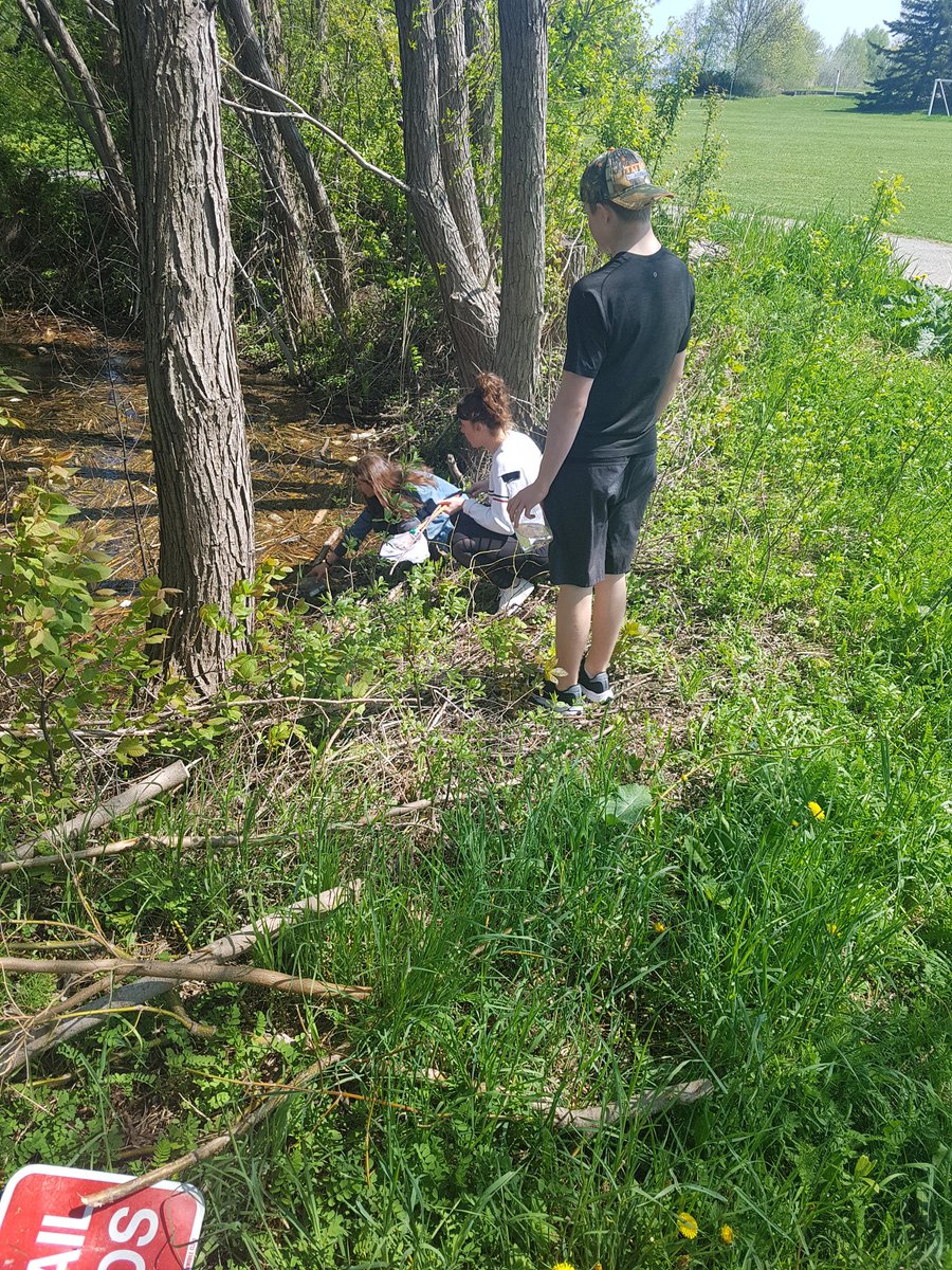 missaprocenko's tweet photo. Where does the water from the creek near our school @NSASkiCAN end up? Lead up to watershed health #inquiry! #bluemountainwatershed #getoutside https://t.co/0nCUCk6kSu