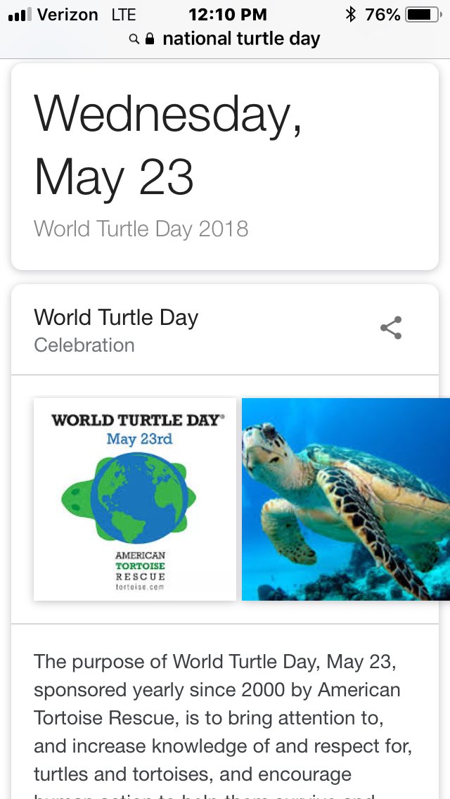 TurtlesonGreg's tweet photo. Let’s all honor the turtle! https://t.co/Mb0Wx0xYRU