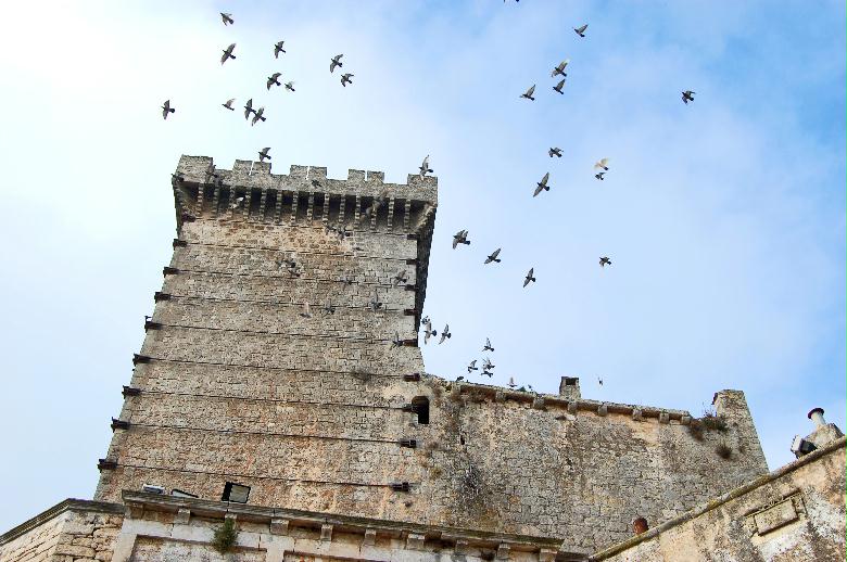 laviaTraiana's tweet photo. 🏰Venite a scoprire il #castello di #cegliemessapica per conoscere un'antica e gustosa #tradizione dolciaria!
L'attività Master Ceglie vi aspetta il 26 e 27 maggio! > https://t.co/ZP9PJkIezM
#WeAreInPuglia #italytolive #laviatriana https://t.co/od6tKhIbAt