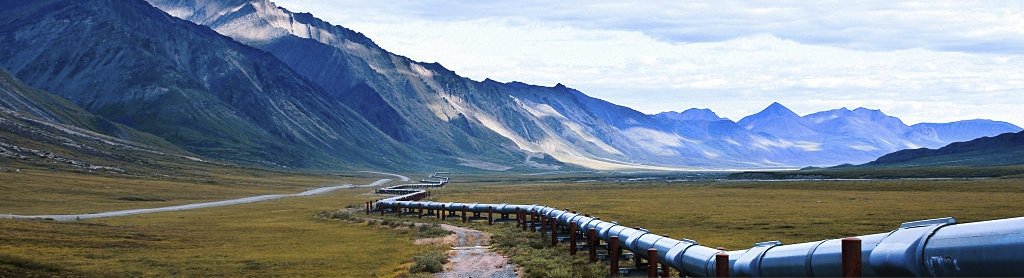 EIAgov's tweet photo. In the newest Issues in Focus article for the #AEO2018, EIA analyzes projected crude oil production in the Arctic National Wildlife Refuge (#ANWR). https://t.co/lMEW7TC2BO #crudeoil #natgas https://t.co/sNu5jURx58
