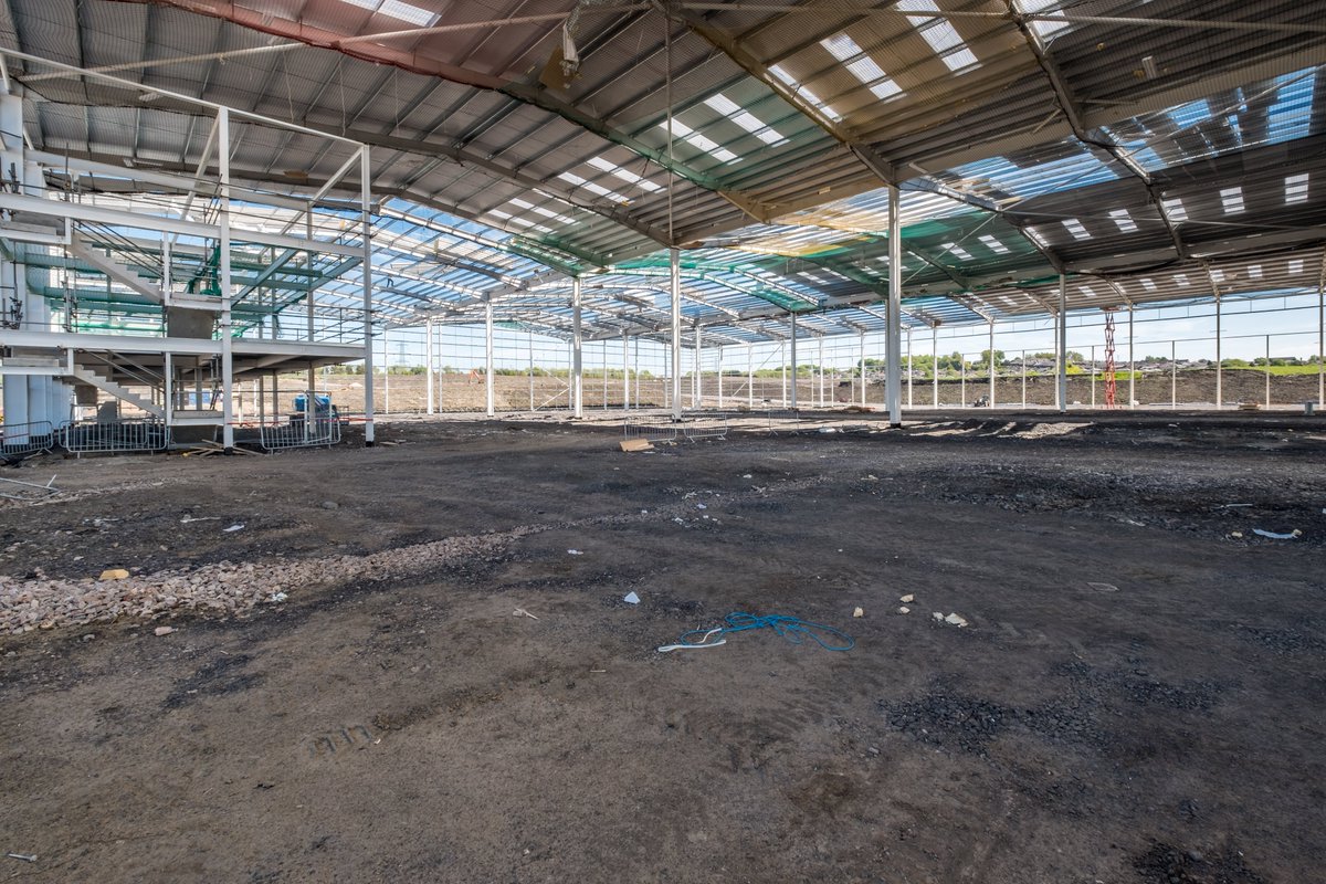 Andrew Pexton tweet media