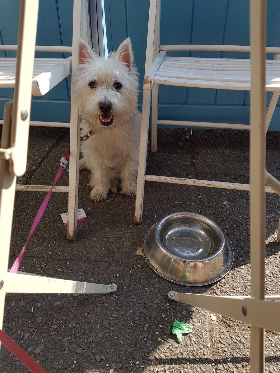 Enjoying abit of after work sunshine after a busy day in the shop! <a href="/VAmbianceMonton/">Vintage Ambiance Monton</a> #monton