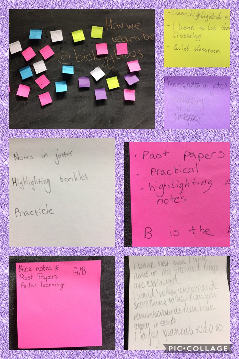 BiologyBraes's tweet image. This is how we like to learn in biology #article29 #ownyourlearning