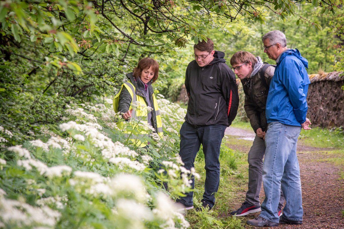 We had a great time celebrating #IntlBiodiversityDay yesterday. Here’s a glimpse of our exclusive botanical tour @AberlourVC. We took people on a journey to Linn Falls to discover the diverse flora & wildlife habitats including native woodland home to badgers and the red squirrel