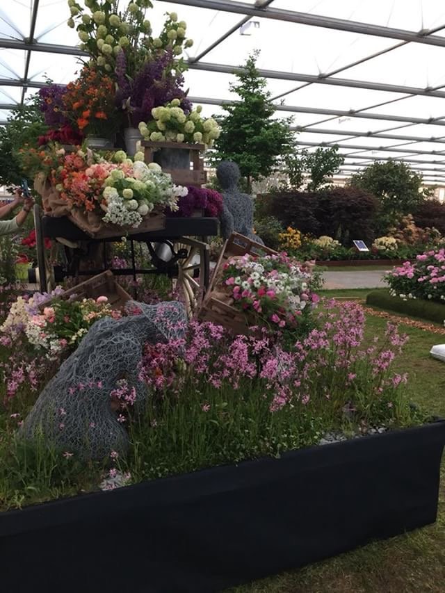 A hugely well deserved gold medal 🏅 at @rhs #chelseaflowershow for @Flowers_ft_Farm featuring one of our talented organic licensees @organicblooms 🌱🐝🌷 amazing work #organicflowers