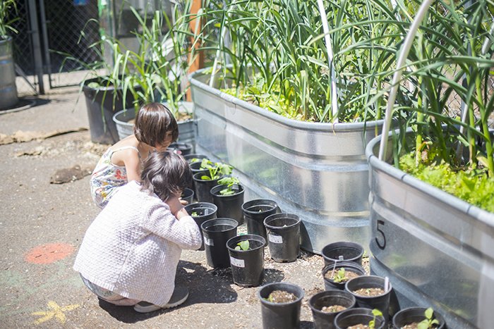 International School of Portland tweet media