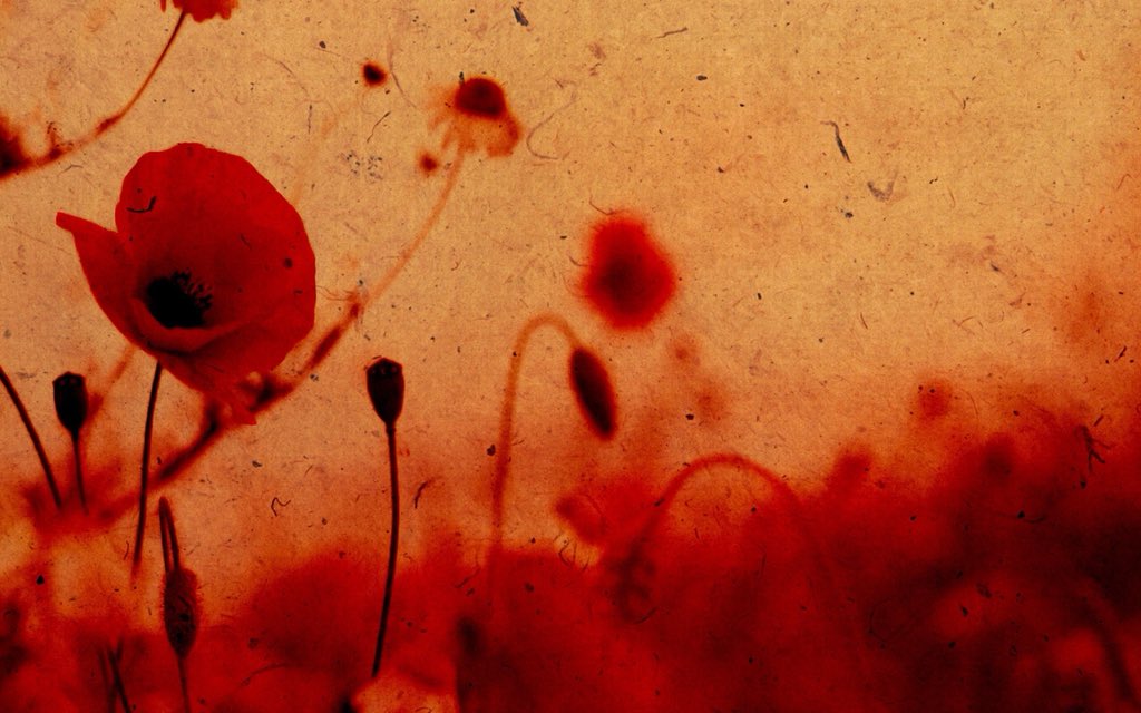 Whatever you can do, or dream you can do. Begin it. Boldness has genius, power, and magic in it.
~Johann