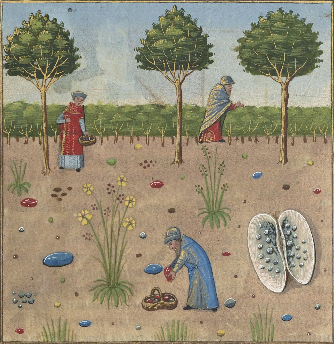 Download Handbook Of Knowledge Representation 2008