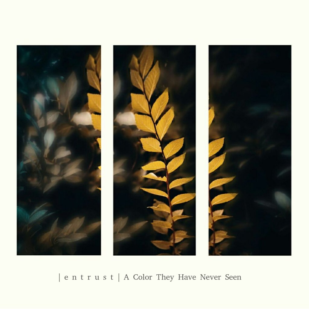 EntrustOfficial's tweet image. #NuevaFotoDePerfil