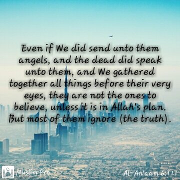 gemuhammad47's tweet image. get.muslimpro.com #muslimpro