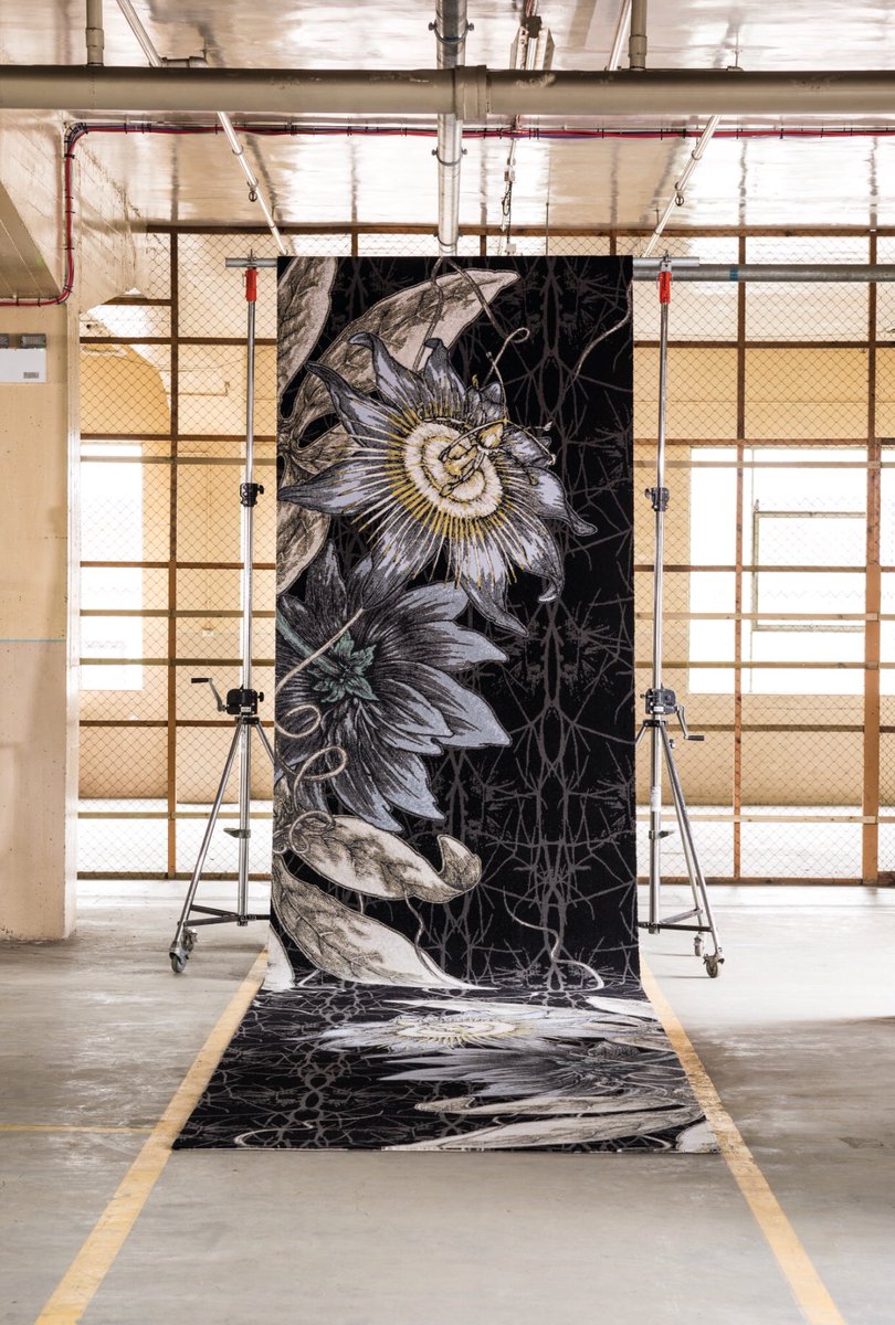 TBeasties's tweet photo. Passiflora - This design is inspired by the passion flower, a vine flower with a unique floral structure, winding tendrils and a distinctive corona. @BrintonsCarpets
#tbforbrintons #craigendcollection #design #carpets #pattern #textures #surfaces #flowers #passiflora #interiors https://t.co/kTDcW6X0T6
