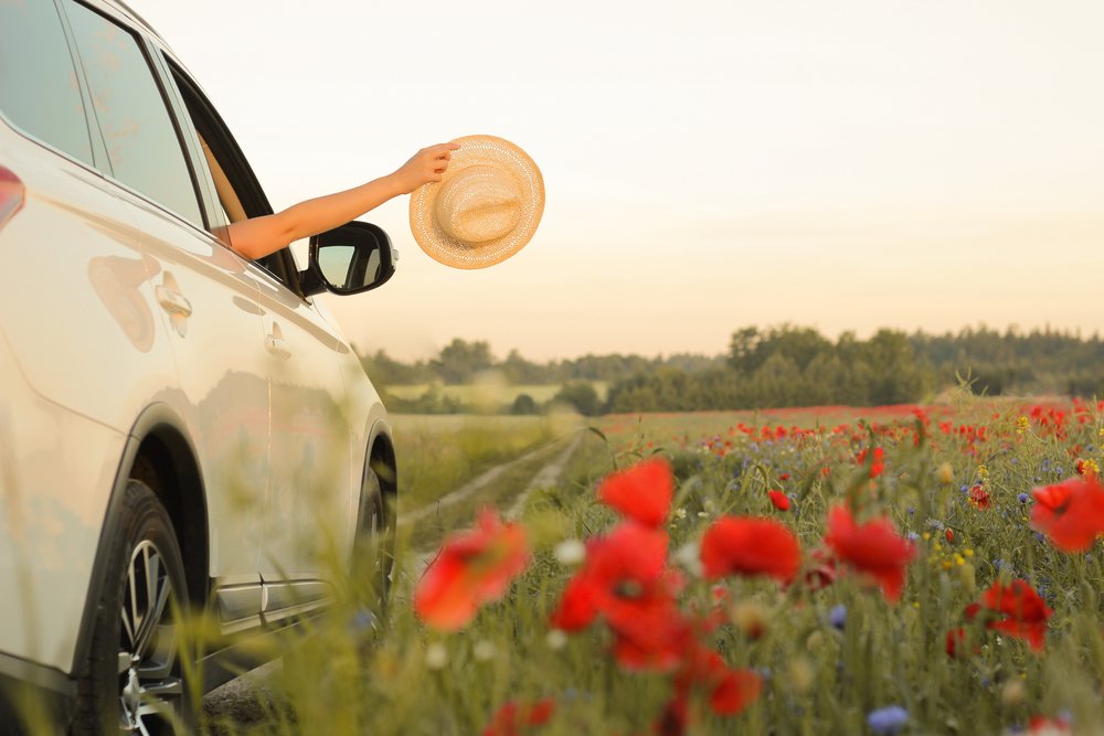 NishnaValleyCU's tweet photo. Looking for a hot new car for summer? Make sure you check out our low-rate auto loans to get the best new or used deal! https://t.co/xkFUZuKxaL #AutoLoan #CreditUnion #IowaCreditUnion #LowRates #LowRateAutoLoan #HotNewCar #SummerCar #NewCar #UsedCar https://t.co/SiLXvTUfTX