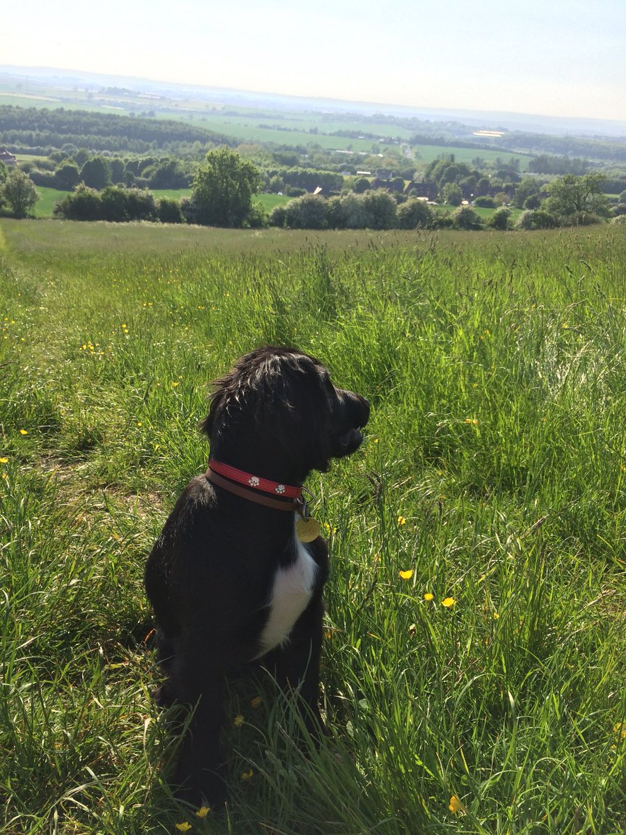 cutegirl565's tweet photo. Look at that view!!! #CrackingPhoto #sprocker https://t.co/fm5GcA917y