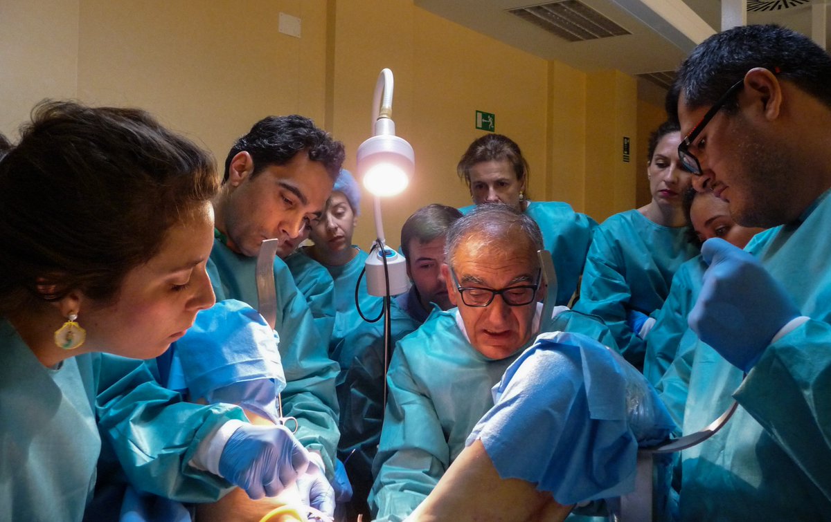 El Dr. Romero enseña a nuestros alumnos la técnica de colocación de las mallas TOA, que practicarán a lo largo de estos días con los novedosos cadáveres Thiel.

#mastersuelopelvUMH

#mastersuelopelvico #posgrado #UMH #suelopelvico #urologia #ginecologia #cirugia #medicina