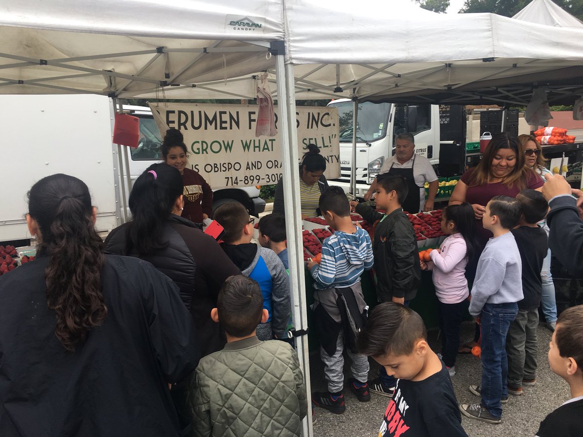 MrsHerdina's tweet photo. 1st grade @PacDriveInnov8 just finished our walking field trip to the Farmers Market at Independence Park. Students bought yummy fruits and vegetables! https://t.co/xHsucihSFg
