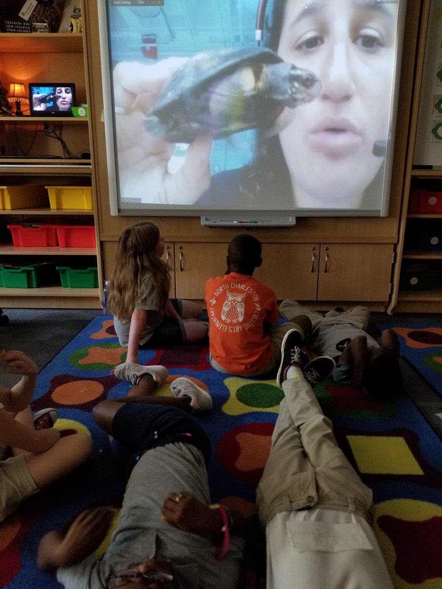 LGoude_NCCAE's tweet image. Tuning in to @SCaquarium 's webinar to learn more about land and water turtles. Check out that cute spotted turtle 🐢#worldturtleday #shellabration #statereptile
