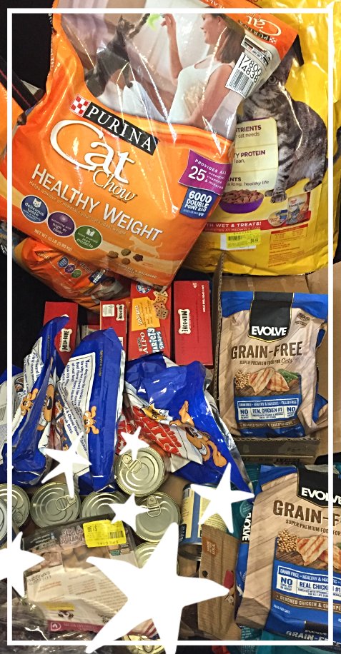 HumaneHBG's tweet photo. @Stmarksharrisburg confirmation class worked together on a final project to benefit the #HumaneHBG. Together they encouraged the church's congregation to donate toys, treats, and food for the homeless animals at the shelter. Special thanks to these awesome kids! #VolunteerHSHA https://t.co/5Ncuorthz2
