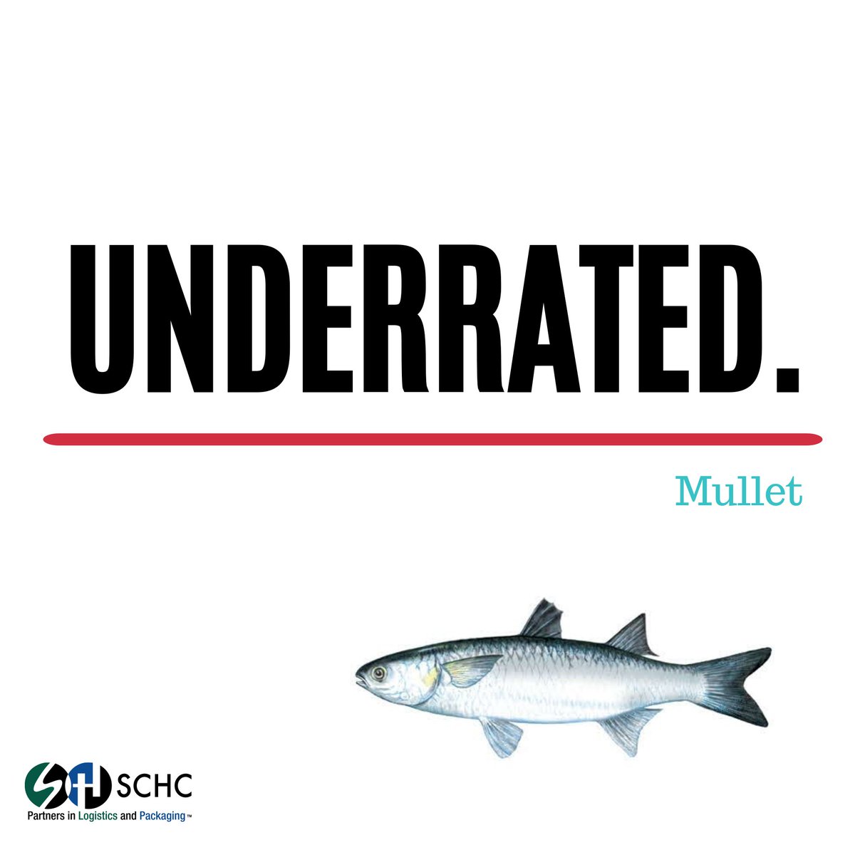 SCHC_Partners's tweet photo. So you say you love #seafood. But have you ever tried #mullet Fish? Mullet is one of the #UnderratedFish from the Gulf Coast: https://t.co/OCtDnmg6T9 | Via @ALSeafood | | #SCHC #Packaging #Corrugated #Cardboard #boxes #WaxPackaging #EatFish #EatmoreFish #Seafood2xWk #ALSeafood https://t.co/9P3AIxvvgw