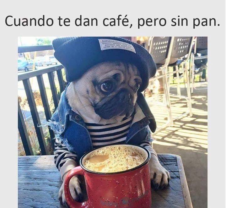 virgendelv's tweet photo. Eso no se hace... 😜😜😜 https://t.co/kGyp0dQ1eJ