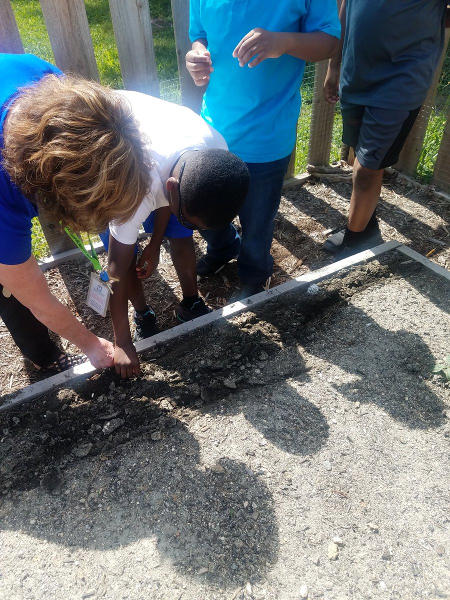 MrsOliver17's tweet photo. Planting seeds in our raised beds in the Bugg Garden! Tomatoes, green beans, basil and eggplants. #BuggByDesign #BuggMagnet https://t.co/VFUhQp1lQ2