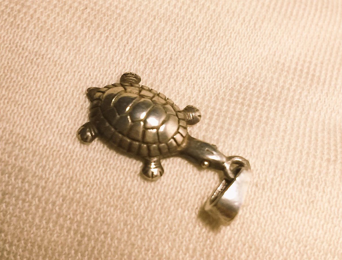 tabidani's tweet photo. Heute ist #WorldTurtleDay. Mein Tag! 
Trage ich doch immer meine Schildkröte mit mir herum https://t.co/5PJx2a3sle