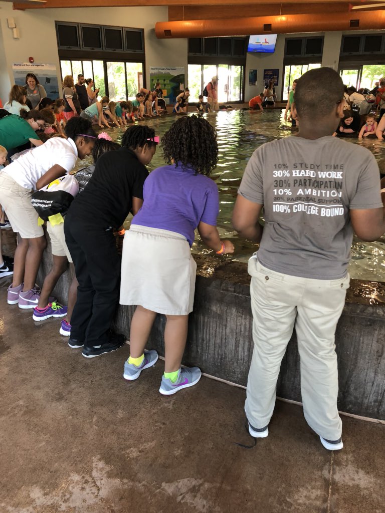 katie_korando's tweet photo. @CEeagles third graders went to the KC Zoo yesterday. We loved Sting Ray Bay! https://t.co/uxn1BstRuP
