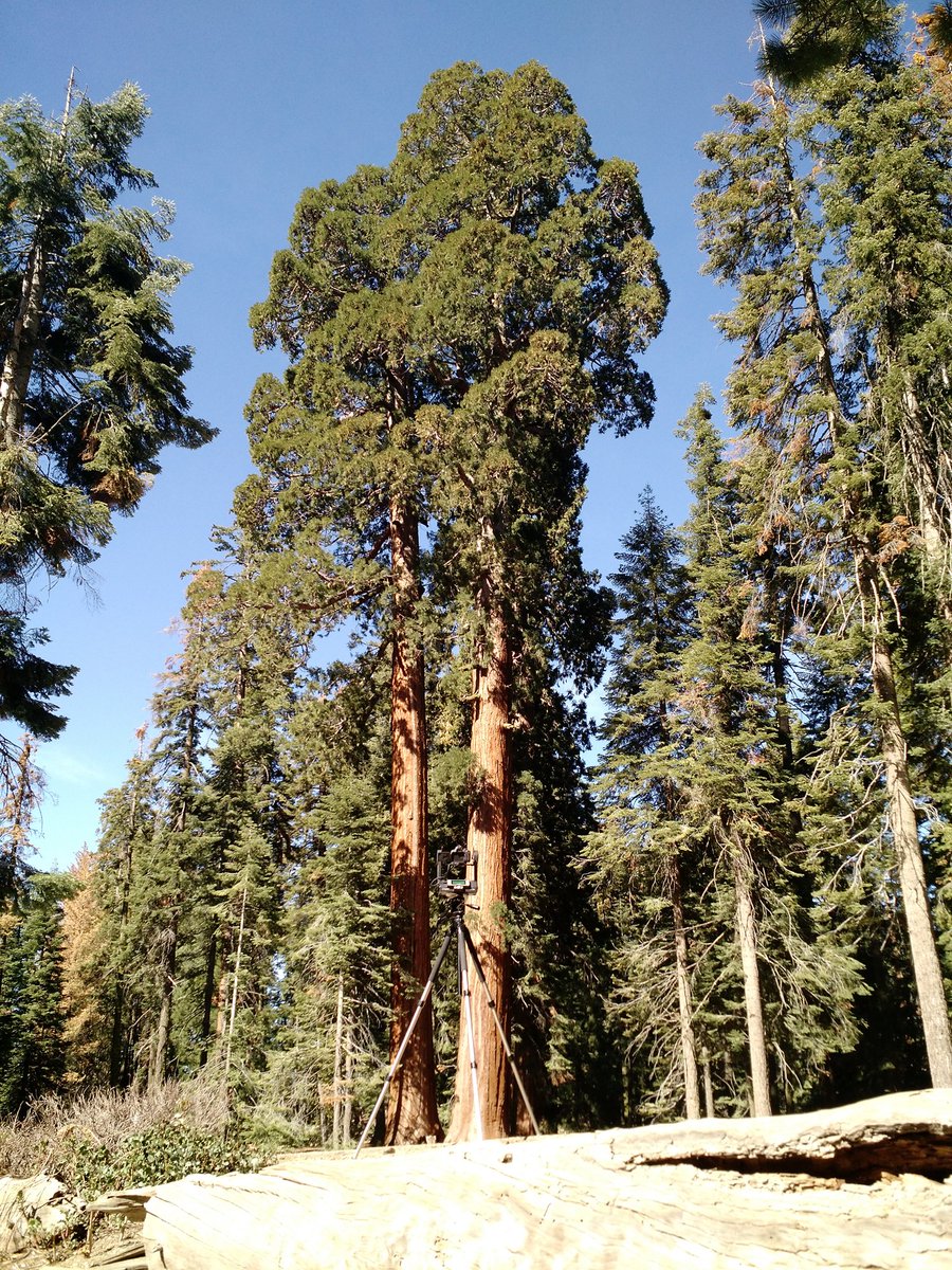 Ron Schott ⚒ tweet media