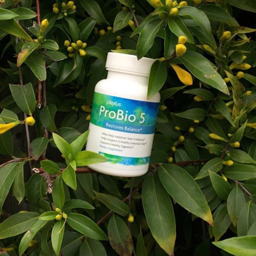 CGI_Scott's tweet image. RT Pexusworldwide: The ultimate enzyme crew, restoring optimal gut health day by day.*😎 #probio5 #everydayplexus #repost 
 
*This statement has not been evaluated by the Food and Drug Administration. This product is not intended to diagnose, treat, c…