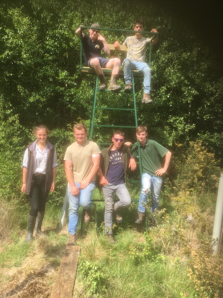 Fantastic weather for siting this #sansam highseat in our <a href="/ForestryComm/">Forestry Commission</a> DCL with <a href="/Sparsholt_Coll/">Sparsholt College</a> game students. Next doe season they’ll get to use it as part of their #deer #stalking assessments.