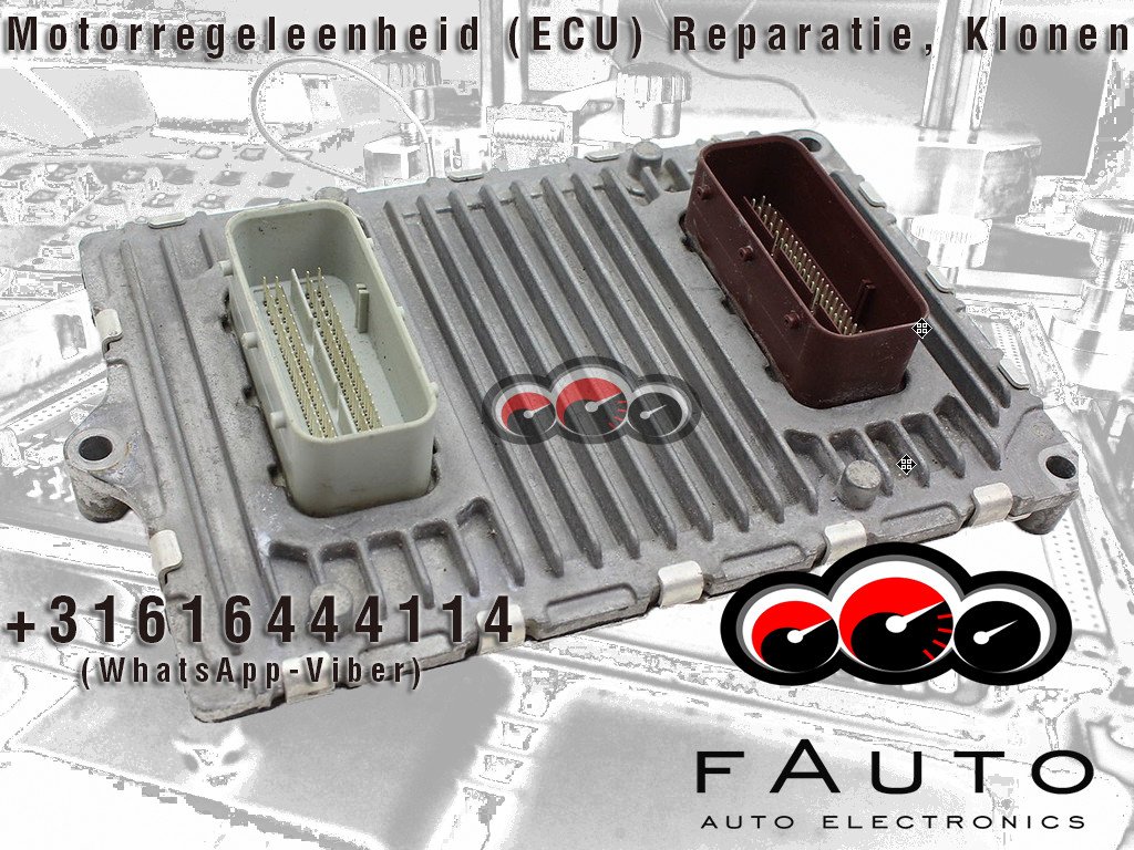 fauto19 tweet picture
