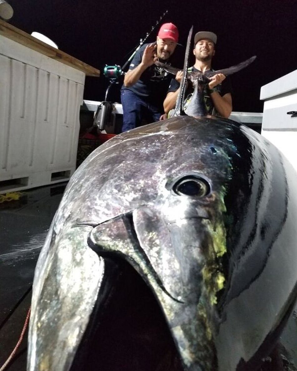 AccurateFishing's tweet photo. A monstah tuna fish

#FishHard
#FVHardMerchandise
@CaptMarciano https://t.co/P6ZT74k72F