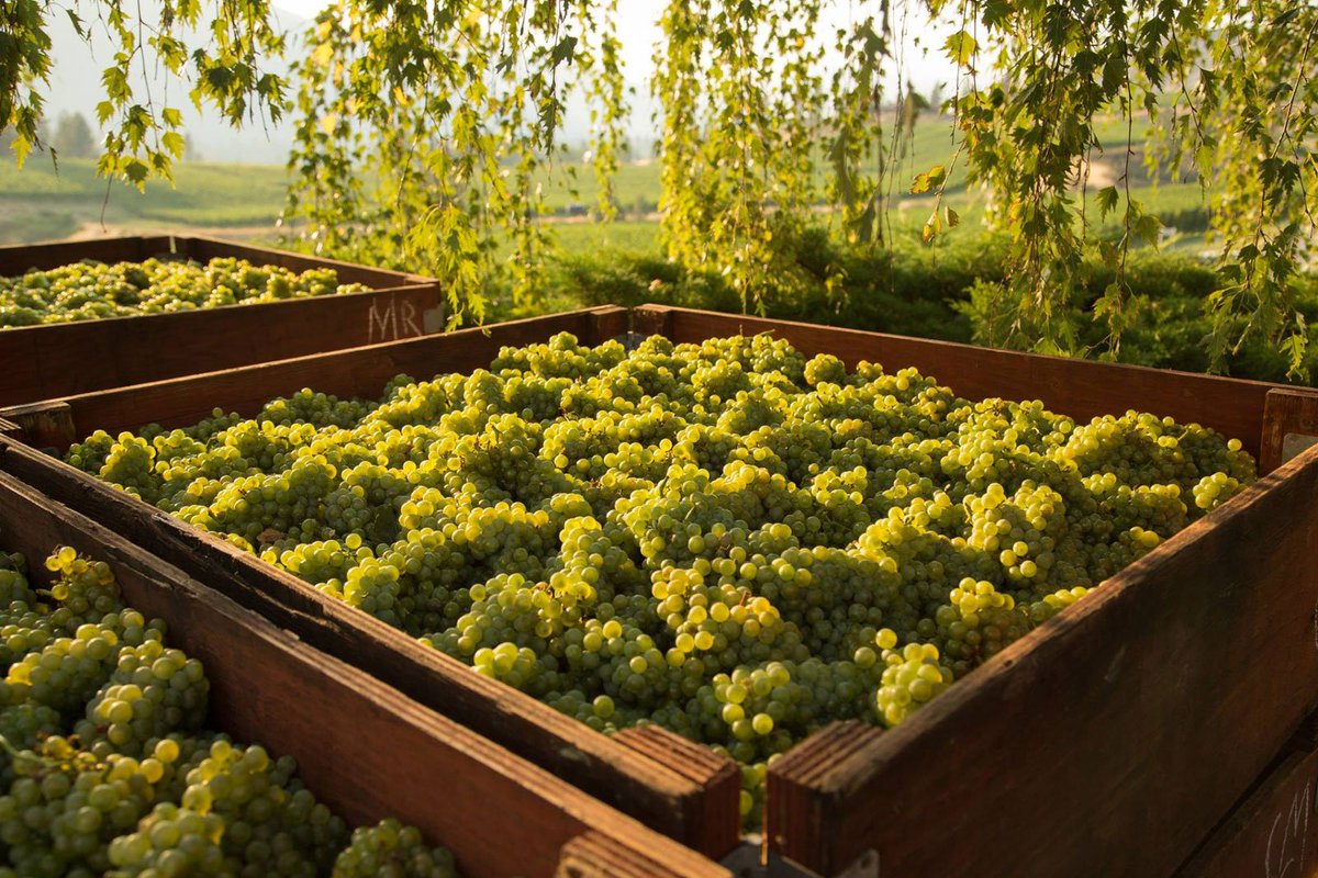 GOODS | Check out this 'Generations Wine Dinner' set for Boulevard with Blue Mountain Vineyards and Cellars. Menu looks pretty fantastic! Details: scoutmagazine.ca/2018/05/23/gen… <a href="/blvdyvr/">Boulevard</a> <a href="/BlueMtnWinery/">Blue Mountain Winery</a> #BCWine