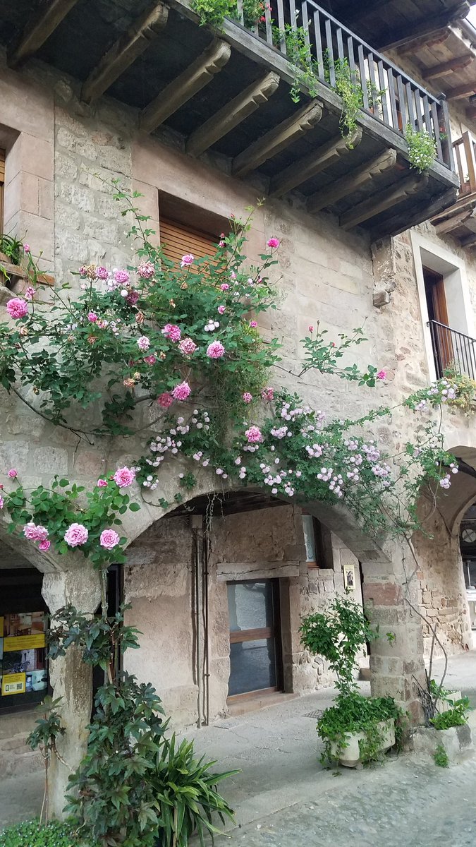 AlisonGraetting's tweet photo. Intraconference field trip success. Volcanoes and medieval towns of Garrotxa #7IMC https://t.co/xdGHNsvR9t
