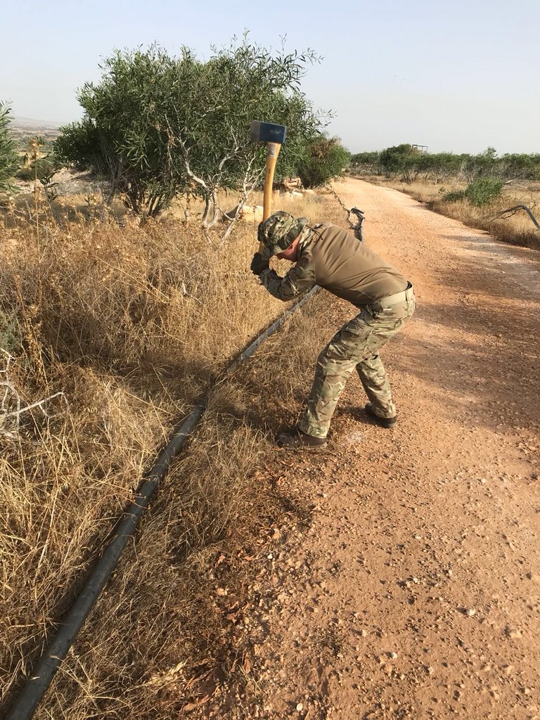 Lt Col RJP Carman tweet media