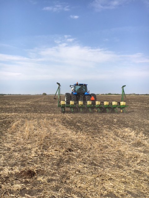 ProvenSeed's tweet photo. #plant18 continues in Langham, SK! Getting some trial #corn in for #ProvenPerformanceTrials at Sask Valley Farms. #SKag #WestCdnAg #Seedtrials [📷: @BLummerding] https://t.co/q10aeJj5Ct