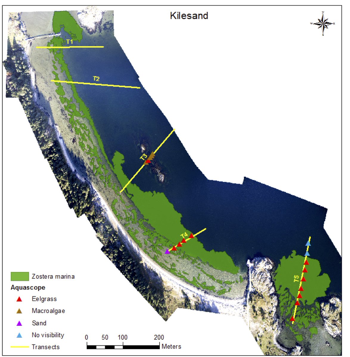 Eduardo Infantes tweet media