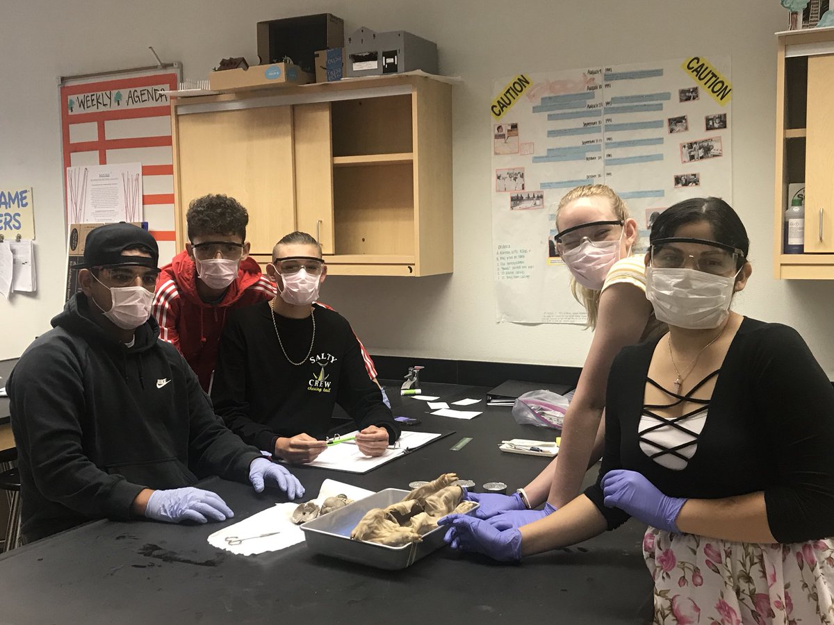 WinksBio tweet picture