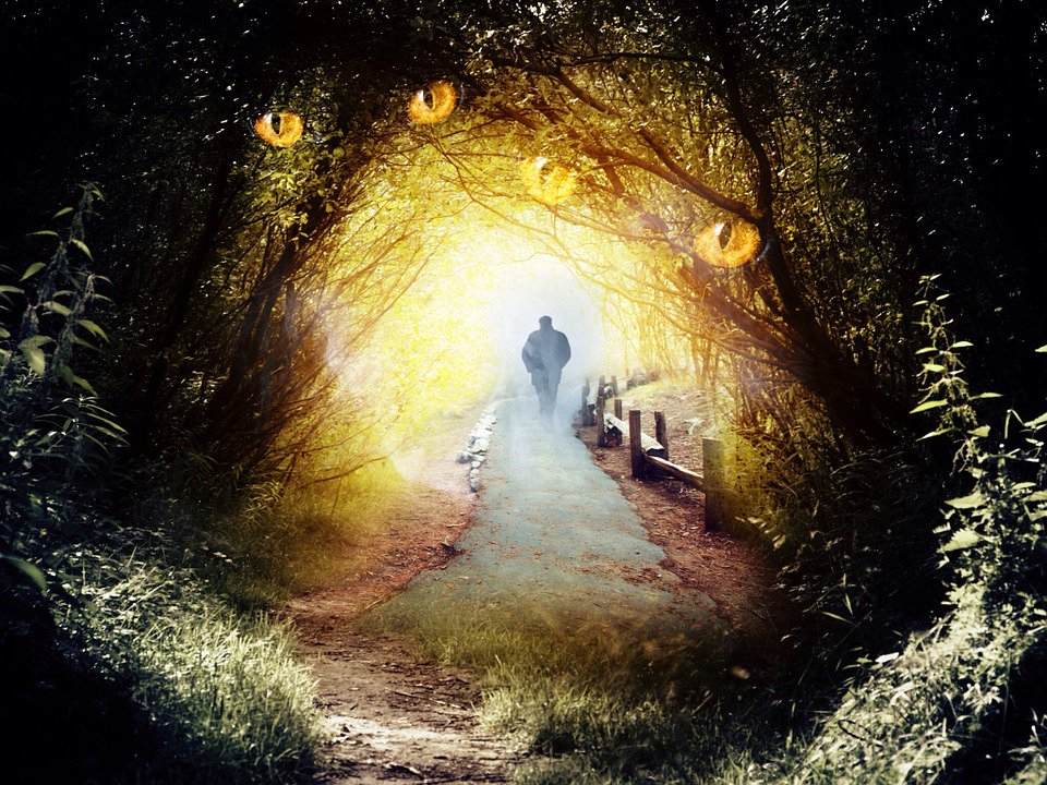 writesangelique's tweet photo. We live in a fantasy world, a world of illusion. The great task in life is to find reality.
-Iris Murdoch
#amwriting #urbanfantasy https://t.co/pU9up0TdgV