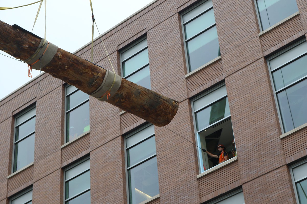elementsofwork's tweet photo. "Did someone call for an entire tree? It's outside your window." #ELEMENTSinstall https://t.co/B4dPEPBuW2