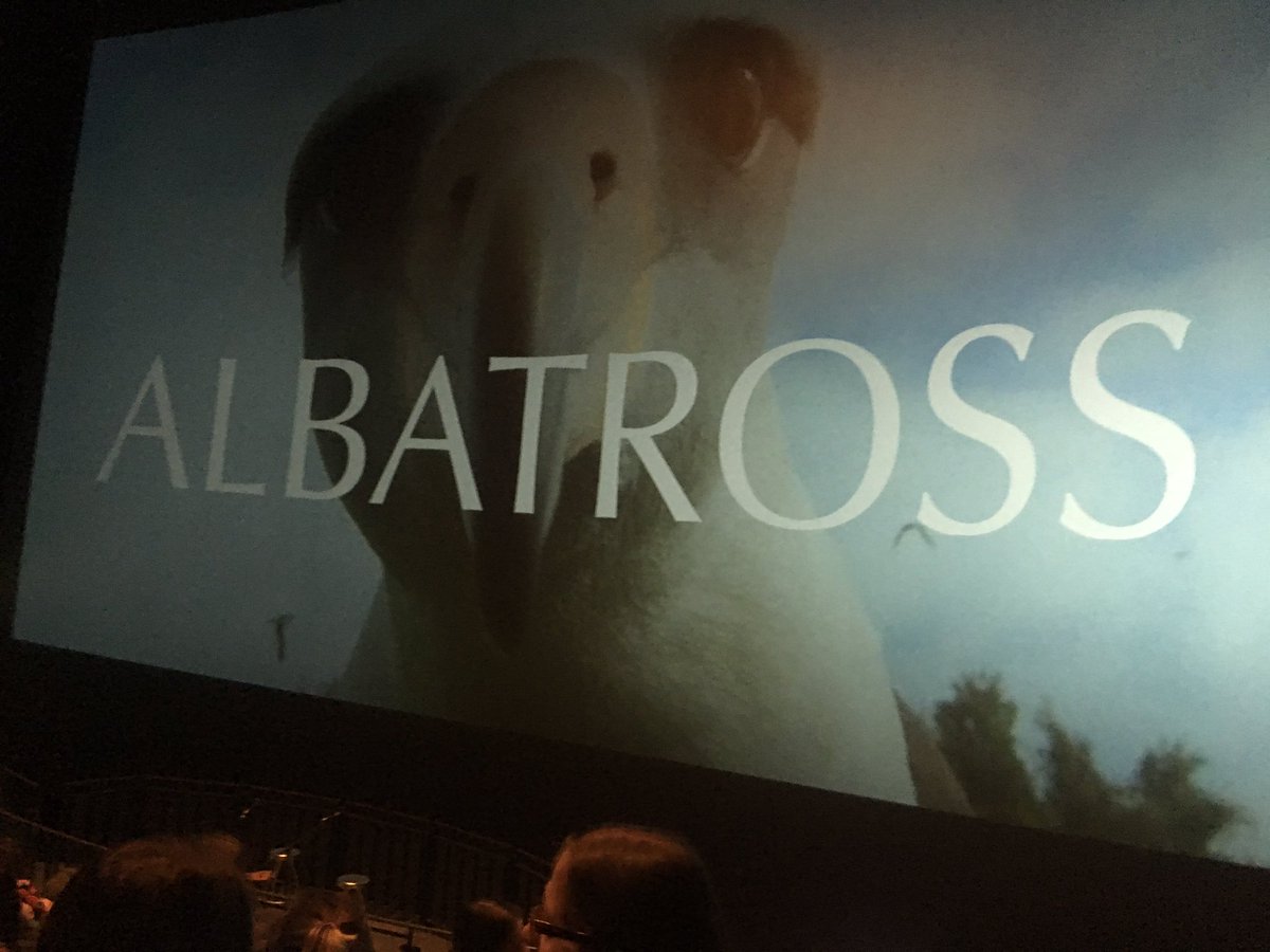 Exciting to be at the #Bristol premiere of #Albatross - as featured in @CitytoSeaBrist  <a href="/nataliefee/">natalie fée</a> 's fantastic <a href="/TEDxBristol/">TEDxBristol</a> talk on single use plastic &amp; sea pollution which has now had over 20,000 views... keep the word spreading guys #BeInconvenient #SwitchTheStick 🌈🌎🐋