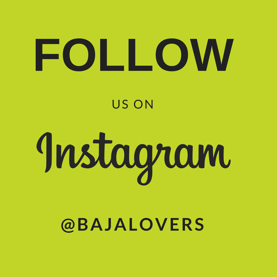 CBRiveras's tweet photo. FOLLOW US!
#bajalovers #realtors #loscabos #realestate #lifestyle #bajacaliforniasur #lapaz #todosssantos #sanjose #laribera #losbarriles #escapes #cbriveras https://t.co/V2qYnwfKbs