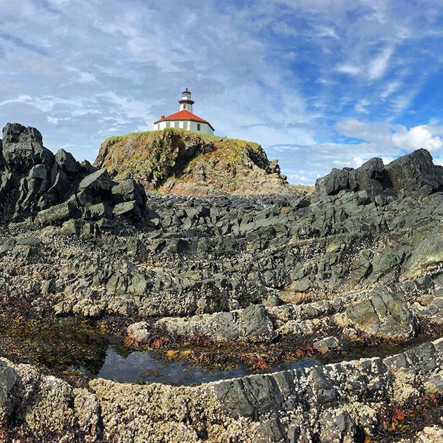 WesternLens's tweet image. Another great day at Eldrid Rock Lighthouse. Check out the weather @marineexchange mxak.org ift.tt/2IEmSo1