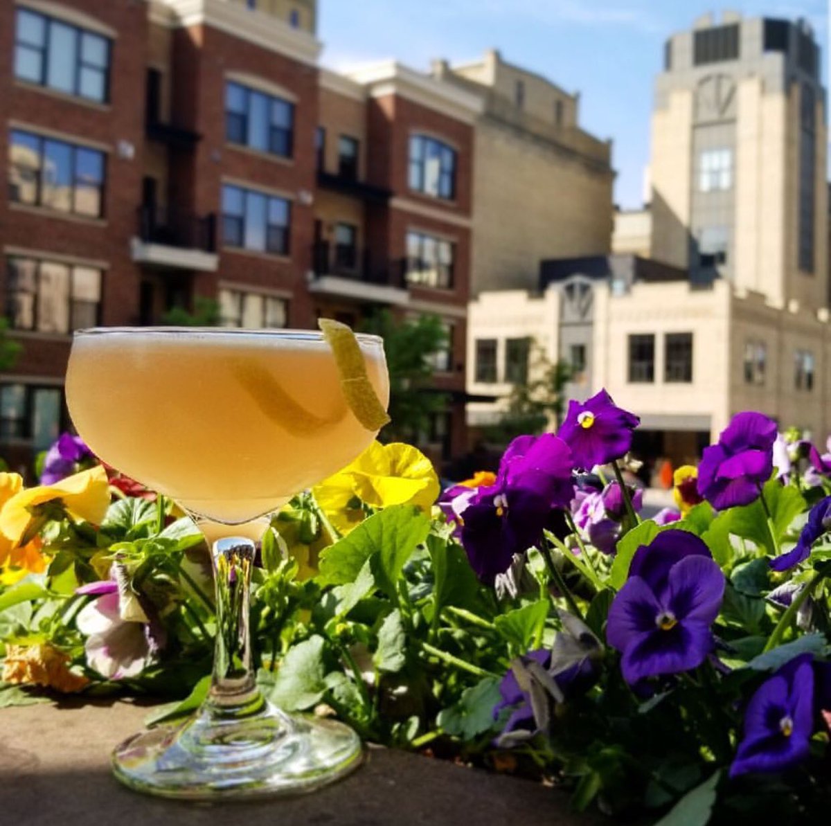ZenBoxIzakaya's tweet image. Spring is in bloom and everything is coming up cocktails. Stay cool with one of our featured cocktails, ‘Hive Mind’. Gentle and honeyed with Sauvignon Blanc and Añejo tequila with a fun umeboshi kick. Our patio is open all night for sun-soaked afternoons and shady sunsets.
