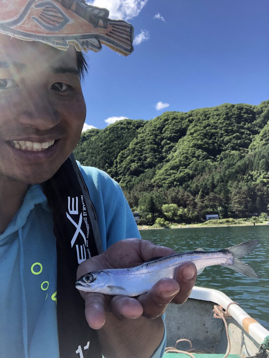 さかな芸人ハットリ 船宿の方いわく 婚姻色が出ない限り見た目ではわからないそうです 幽門垂と鰓耙の数を見るそうですが 今回もう 食べてしまいました セオリーで言えば 目が大きい魚は視力がいいはずですよ さかな芸人ハットリ 船宿の方いわく 婚姻色が出ない限り見た目ではわからないそうです 幽門垂と鰓耙の数を見るそうですが 今回もう 食べてしまいました セオリーで言えば 目が大きい魚は視力がいいはずですよ