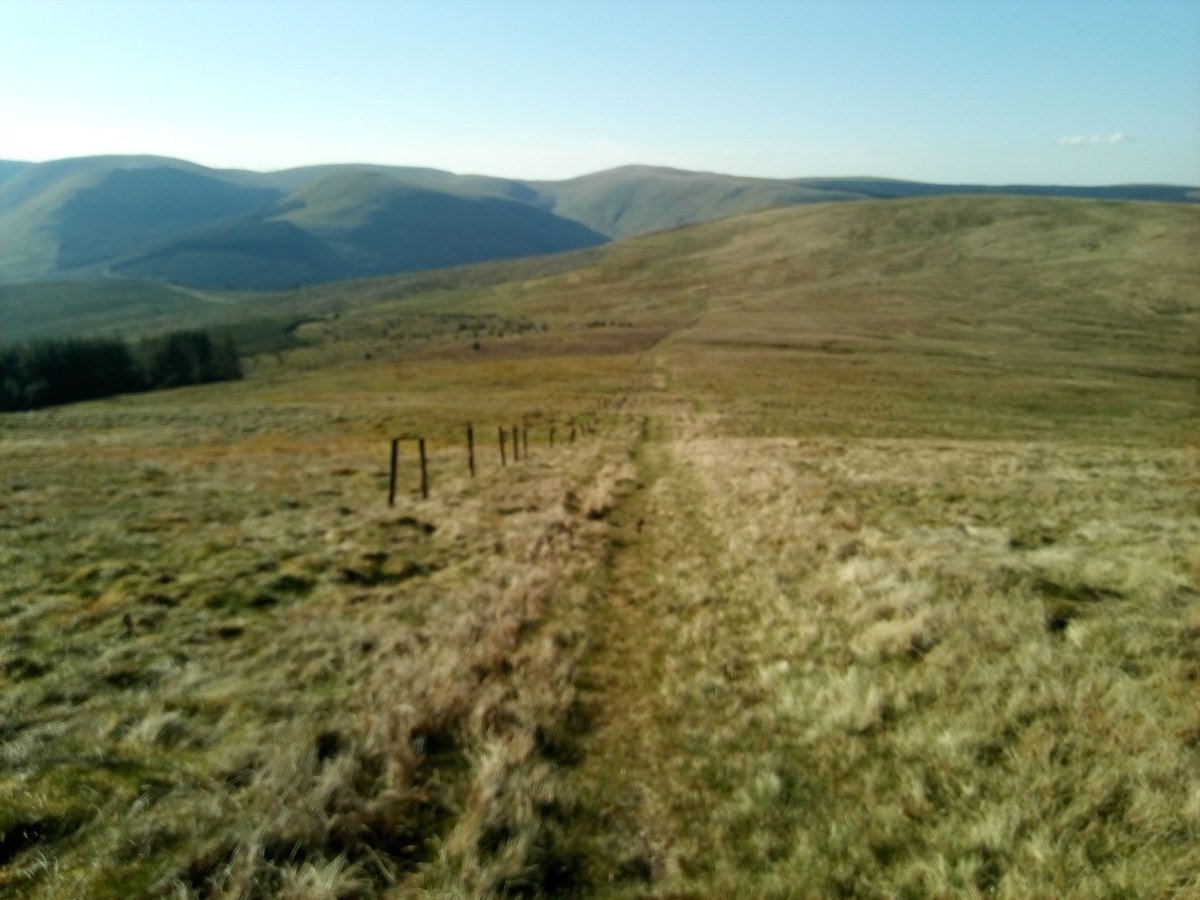 palmerstonblues's tweet photo. Highest point on the #stridingarches walk today, Colt Hill at 540 metres. https://t.co/OzxmkbgcBl