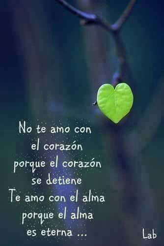 Alejandro Ruiz on Twitter: Alejandro Ruiz on Twitter: