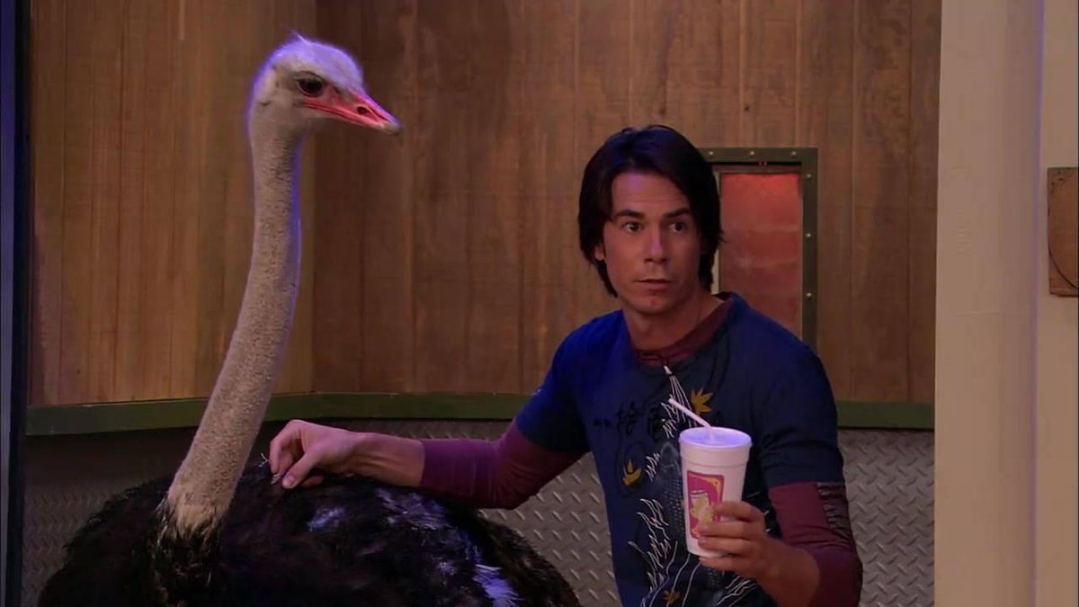 Remember when spencer got a smoothie and we met marvin the ostrich? 😂 