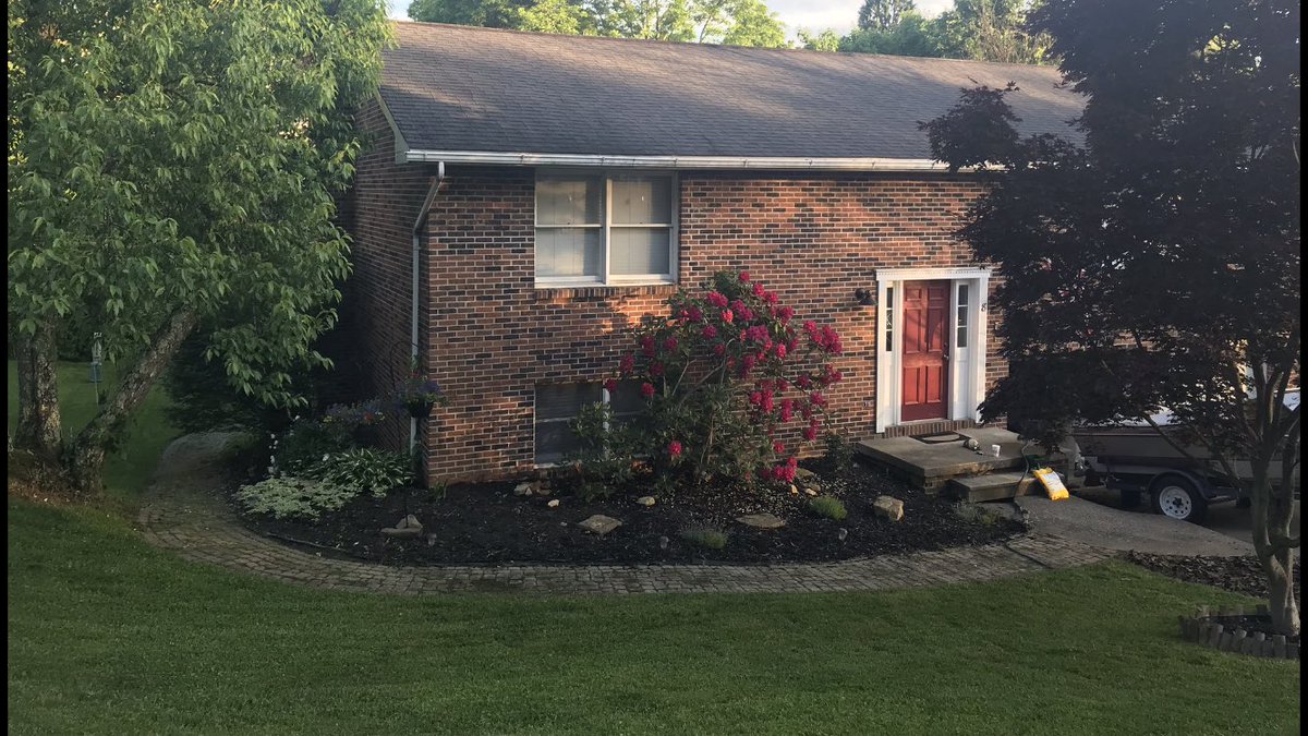 HAWAIIBIO's tweet photo. Got the yard all cleaned up before vacation! #BriarPatchLn #TanglewoodCT #Rhododendron #WVstateflower https://t.co/P6w87Qt2w6