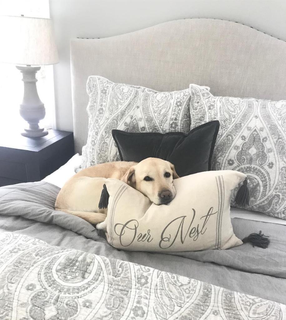 potterybarn's tweet photo. Wednesdays are ruff 🐶💤 Share your story + tag @potterybarn to be featured on our feed! #PBpet #mypotterybarn (📷: @ potterybarn_evergreenwalk)
https://t.co/2DAnSXXHQo https://t.co/xjwUgYxbvv